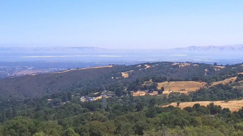 View of the Bay Area as seen from Saratoga Gap Open Space Preserve