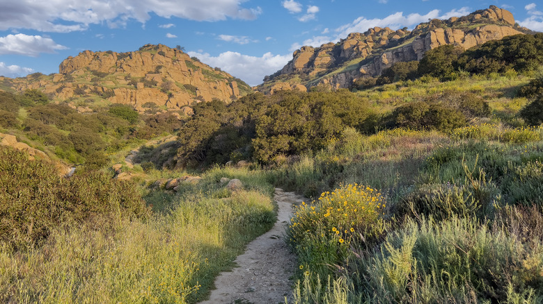 Morning view of a hiking trail at Santa Susana Pass State Historic Park