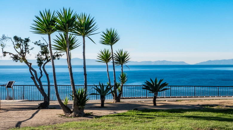 White Point Park with Catalina Island in the background