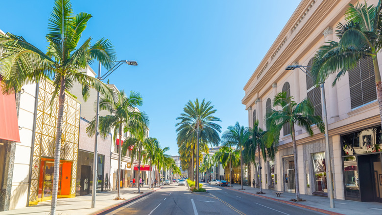 Palm trees and high-end boutiques along Rodeo Drive on a sunny day
