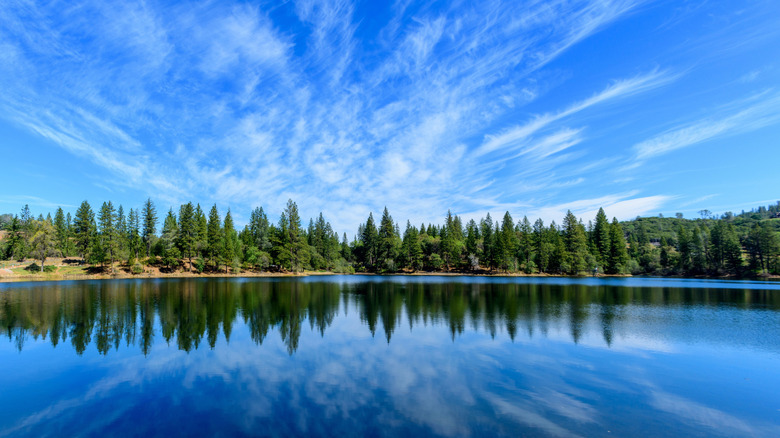 Lake Tabeaud's blue water and tree-covered shores near Pine Grove, California