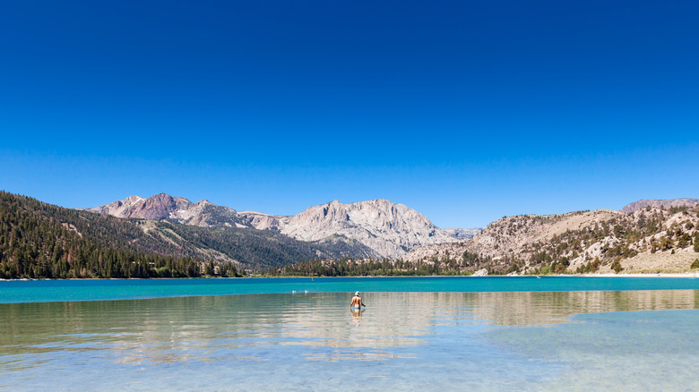 Person wades out into crystal-clear water of Tenaya Lake
