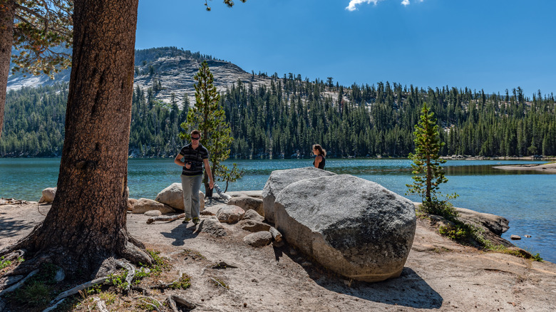 Hikers on the shoreline trail of Tenaya Lake