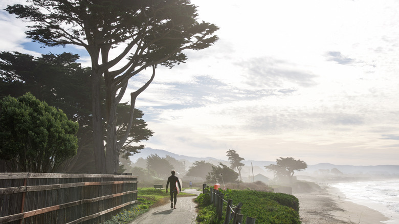 A surfer walking on a trail in Half Moon Bay