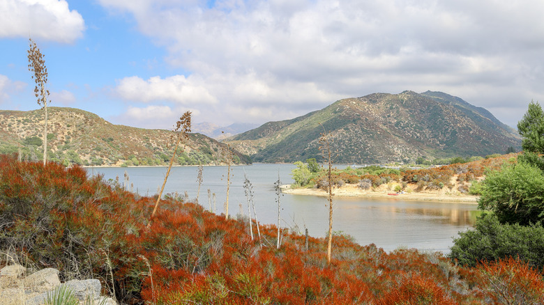 Silverwood Lake with views of the shoreline and surrounding mountains