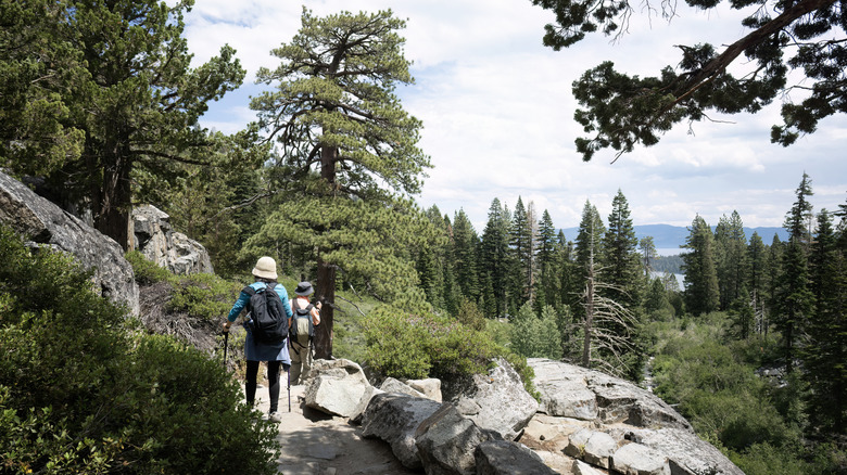 Couple hiking the Eagle Lake Trail in South Lake Tahoe, California
