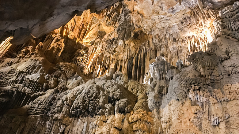 Lake Shasta Caverns in California