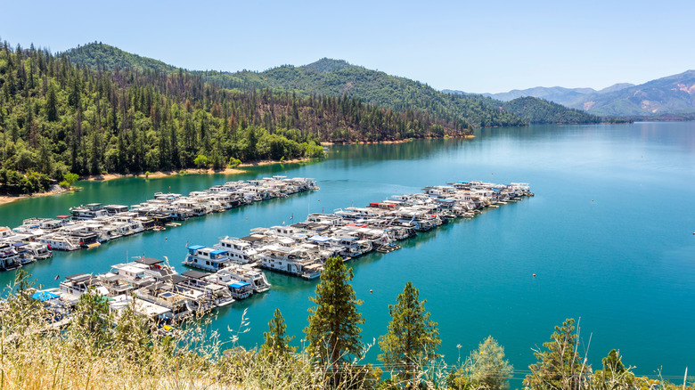 Houseboats docked on Shasta Lake in California