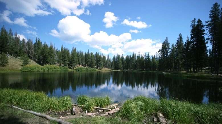 lake in ﻿﻿the Sáttítla Highlands National Monument