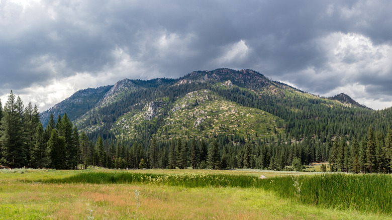 Pine-covered hills in Grover Hot Springs State Park in Alpine County, California