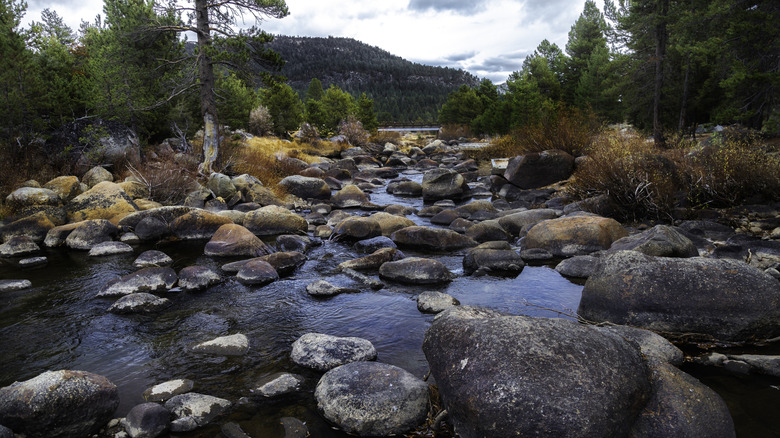 A river flowing over stones in Alpine County, California