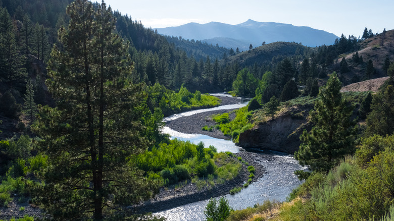 A river flowing near Markleeville, California
