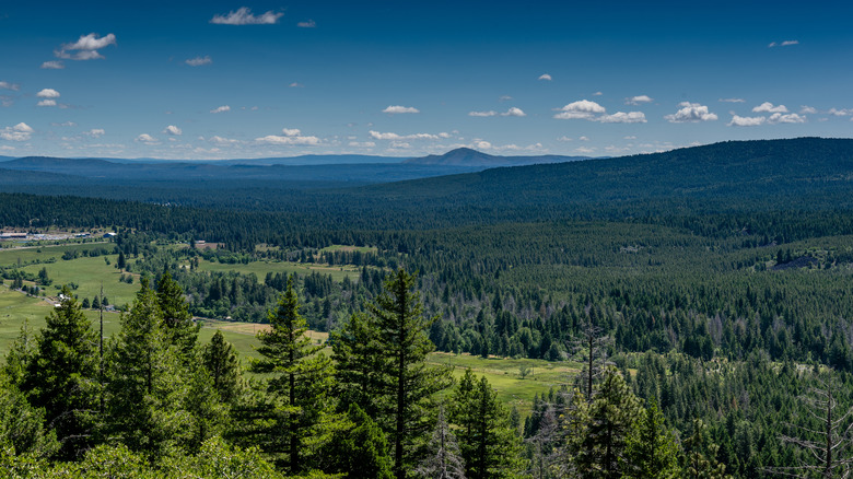 Highway 299 winding through Humboldt County near Shasta
