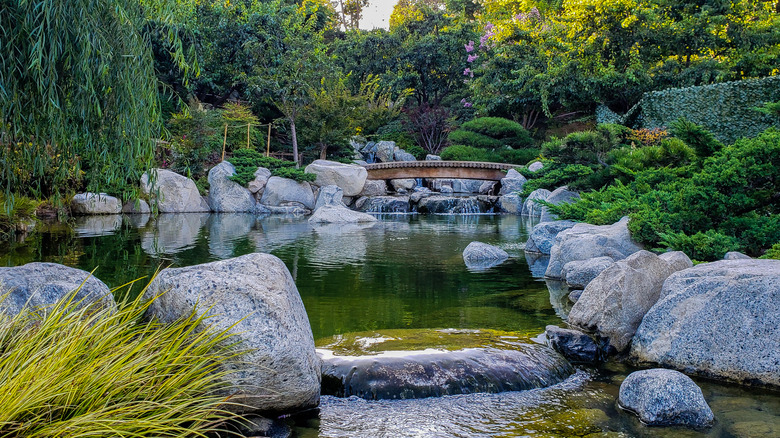 Wooden bridge across the koi pond in the Japanese Friendship Garden, San Diego