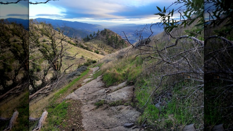 Trail at Sugarloaf Ridge State Park in Sonoma County, California