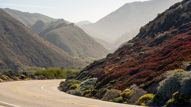 Road winds between mountains in Pfeiffer Big Sur State Park, California