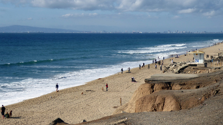 Tall bluffs overlook Huntington Dog Beach with people and dogs playing on the sand.