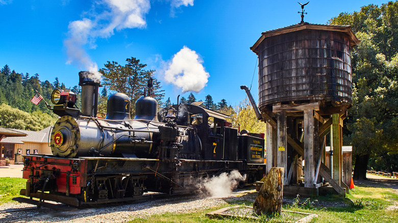 The Roaring Camp Steam Train