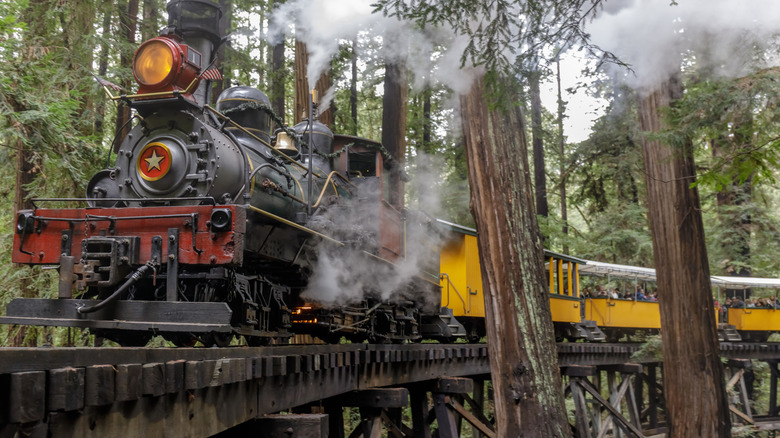 The Roaring Camp Steam Train going through the redwood forest