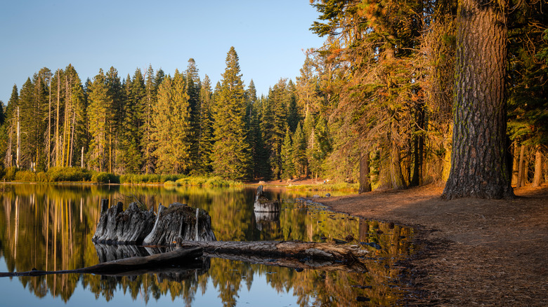 Autumn scenery on Manzanita Lake