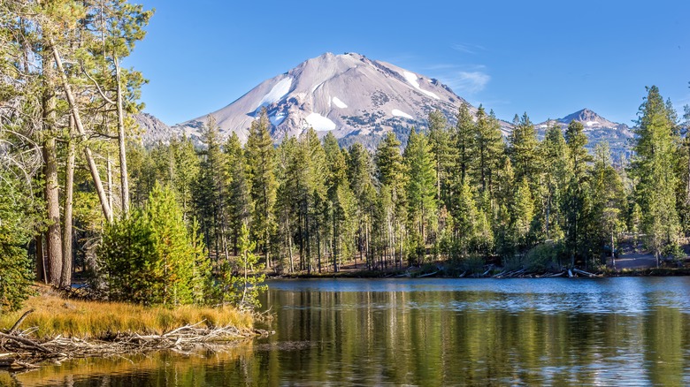 A lake ringed by trees with a mountain in the distance