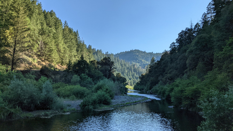 Eel River cutting through Mendocino National Forest