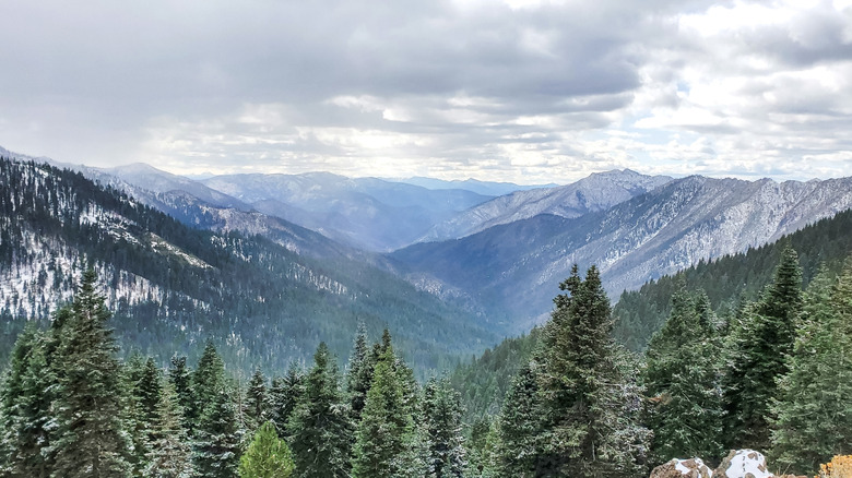 Forested mountains in Klamath National Forest