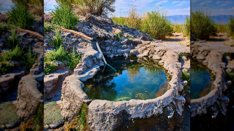 Rock pool with water and pipe surrounded by shrubbery