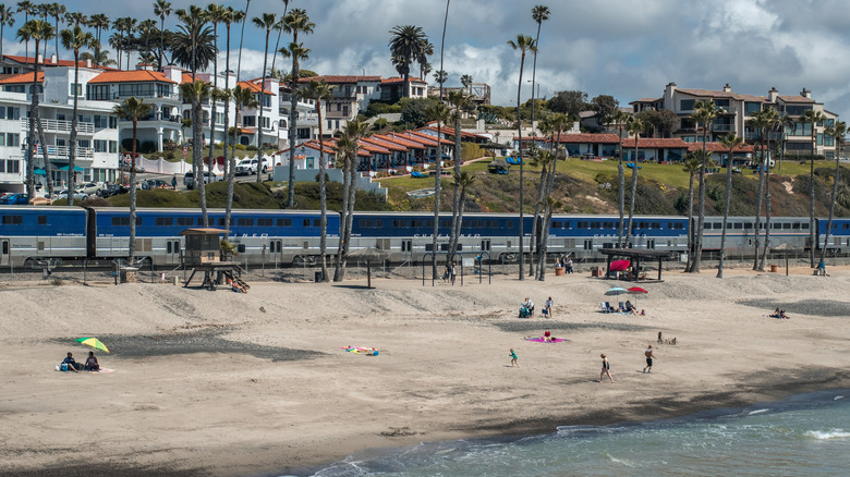 The blue and silver Pacific Surfliner train cruising past a palm-tree beach in California