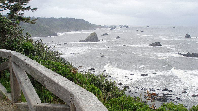 Sea stacks rise between the swells in front of the Sue-meg cliff trail