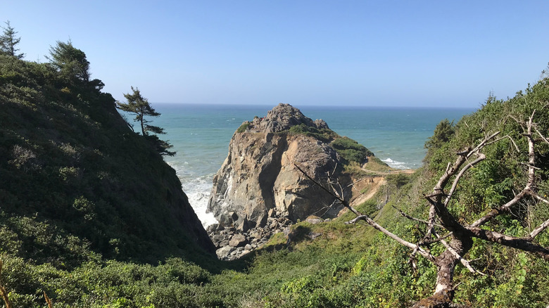A cliff surrounded by the ocean in the Sue-meg State Park, California
