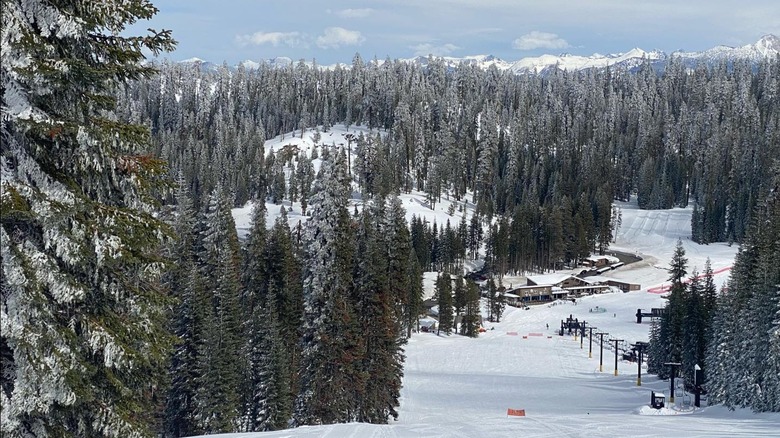 Yosemite's Badger Pass Ski Area