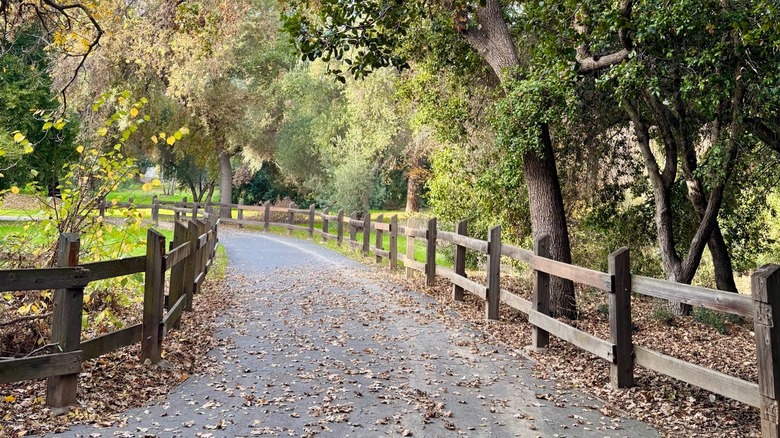 A paved trail through trees, lined with a wooden fence