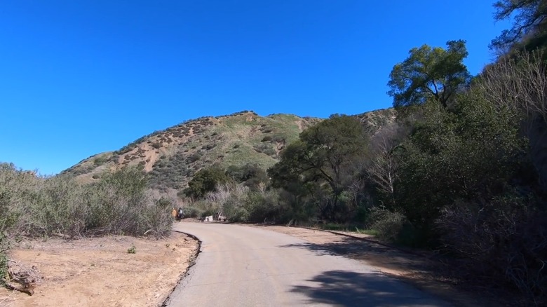 The paved path to Pico No. 4