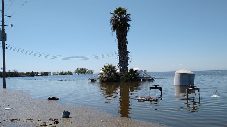 Tulare Lake returns to Central Valley, California, seen in the form of flooded farm land