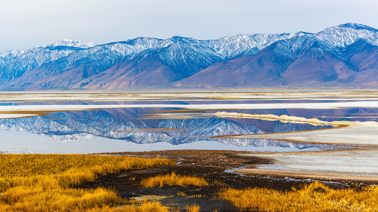 Reflections of the Sierra Nevada Mountains in the flooded plain of Owens Lake in California