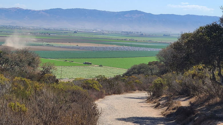 Creekside Trail in Fort Ord National Monument near Salinas, California