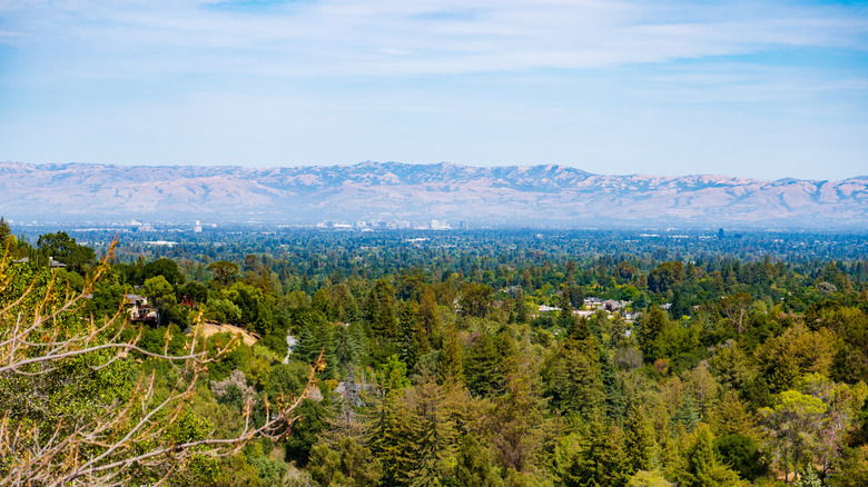 The San Jose skyline as seen from a forested ridge at Saratoga Quarry Park.