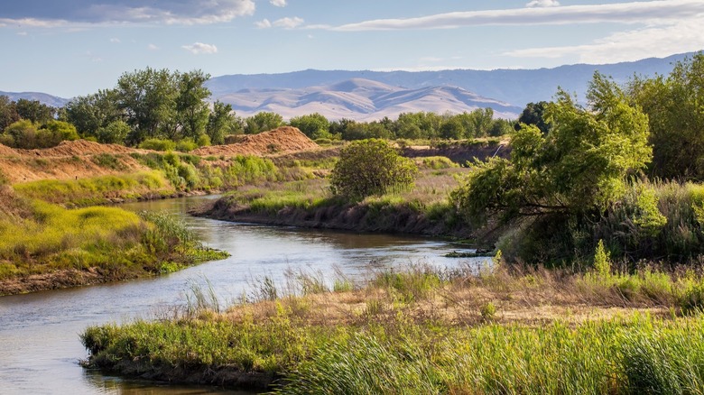 A stream winds through Dios Rios Ranch State Park in California's Central Valley
