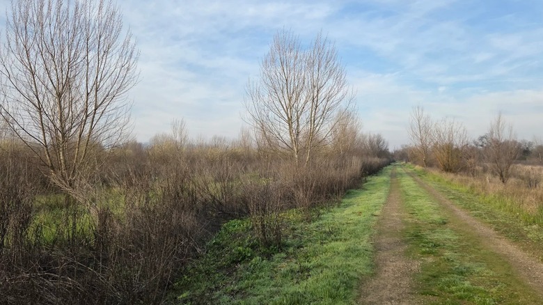 A path among the fields in Dos Rios Ranch State Park, California