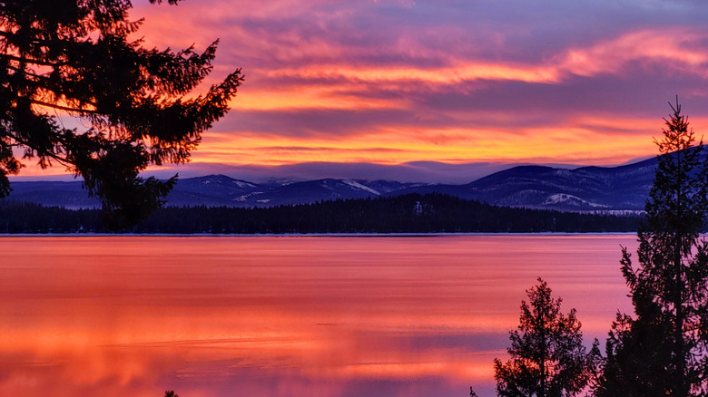 Trees silhouetted and sunset colors across the water and sky at Lake Almanor, in Northern California.