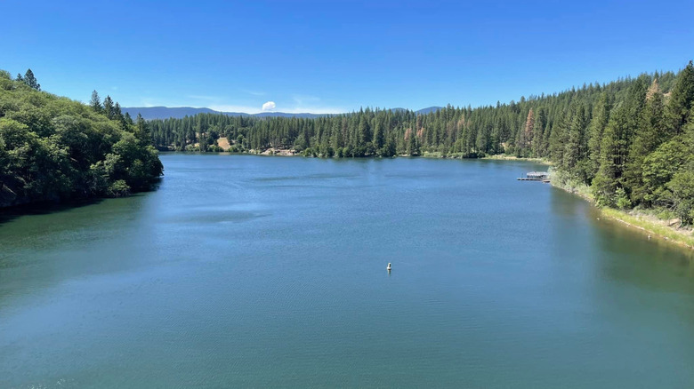 The blue waters of Lake Britton surrounded by forests