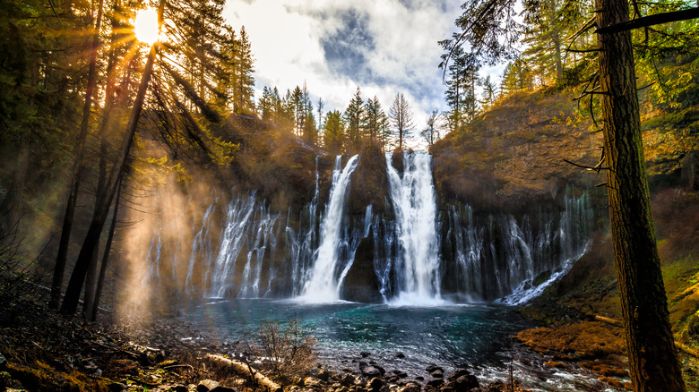 Sun peaks through the trees around the Burney Falls