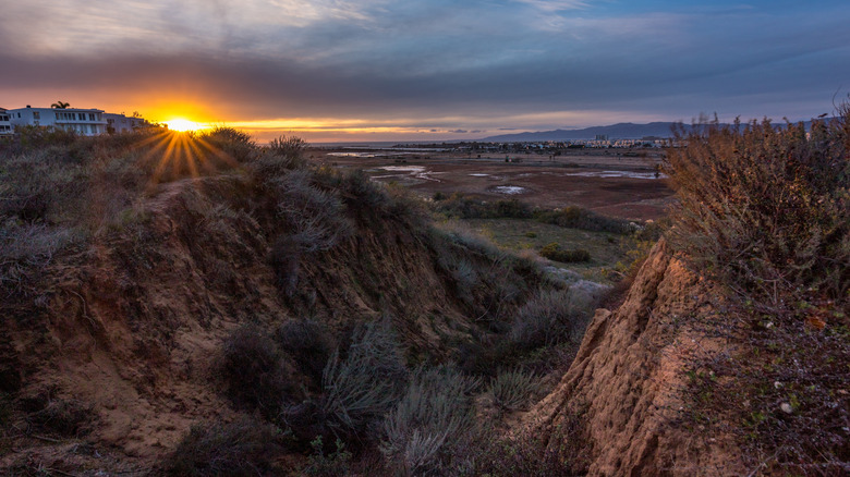 Sunset view from the dunes at the Ballona Wetlands
