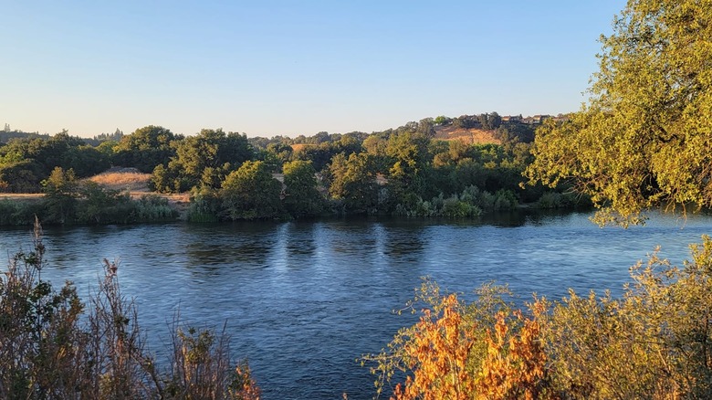The American River by Gold River, California.