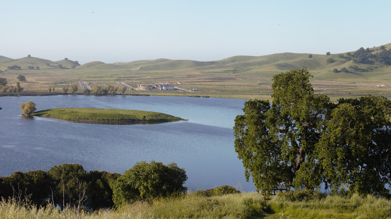 View over water at Lagoon Valley Park in Vacaville, Calif.