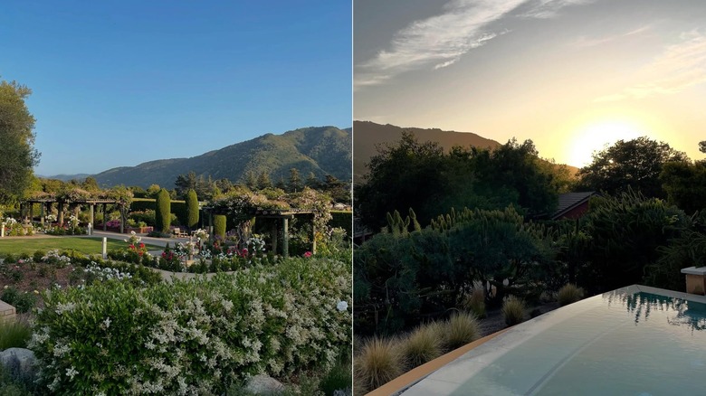 Gardens and infinity jacuzzi at Bernardus Lodge & Spa