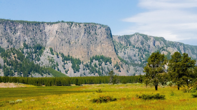 Landscapes near West Yellowstone, Montana