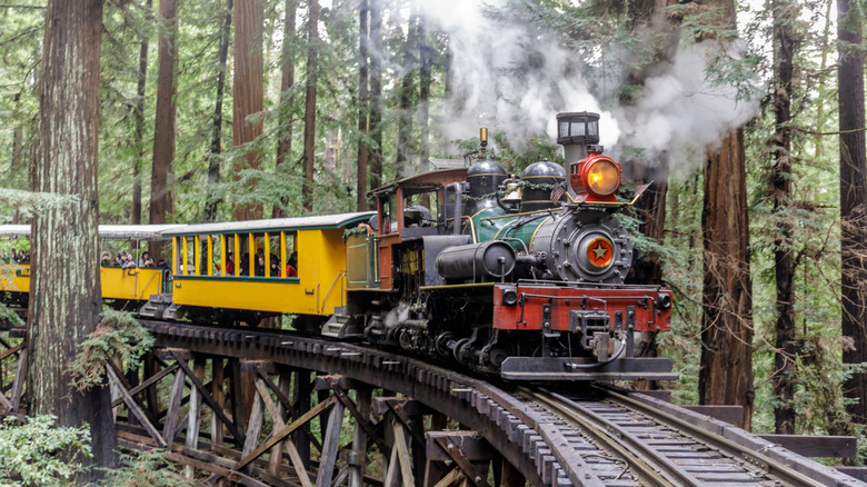 Front view of Roaring Camp Railroads going through a forest in Felton, California during the day with people in open-air cars.
