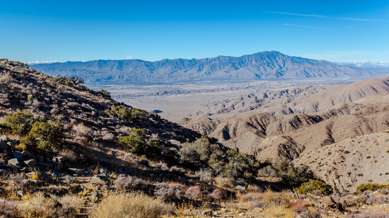 View of the San Andreas Fault at Joshua Tree National Park